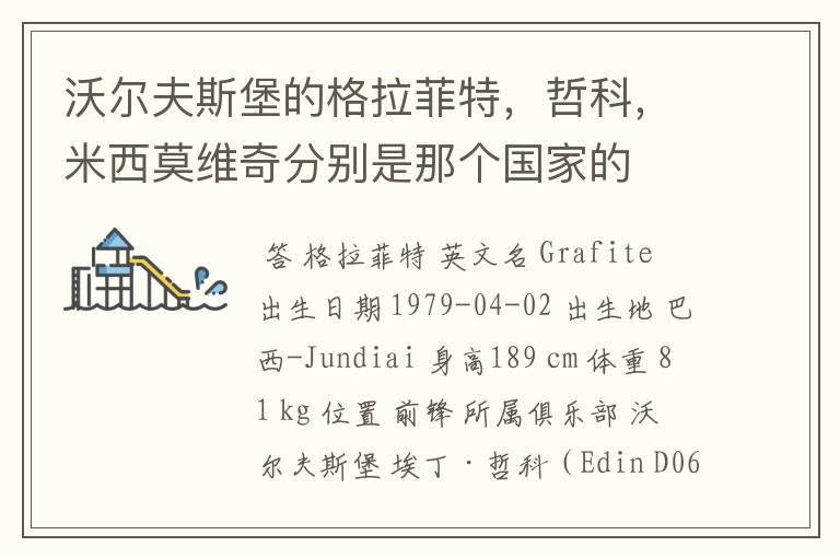 沃尔夫斯堡的格拉菲特,哲科,米西莫维奇分别是那个国家的