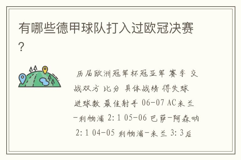 有哪些德甲球队打入过欧冠决赛?