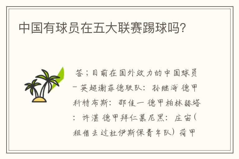 中国有球员在五大联赛踢球吗?