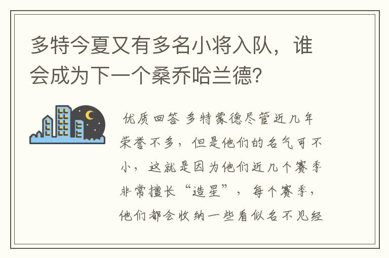 多特今夏又有多名小将入队,谁会成为下一个桑乔哈兰德?