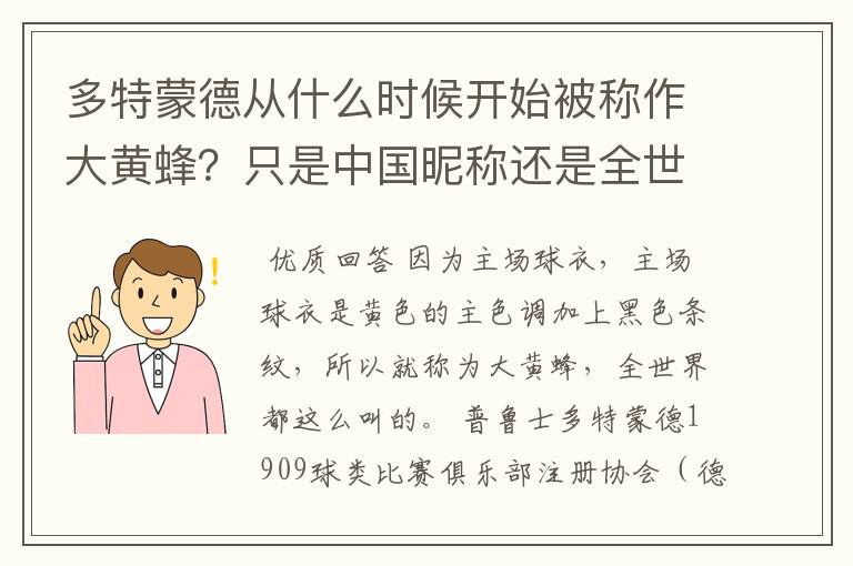 多特蒙德从什么时候开始被称作大黄蜂?只是中国昵称还是全世界范围都这么称呼