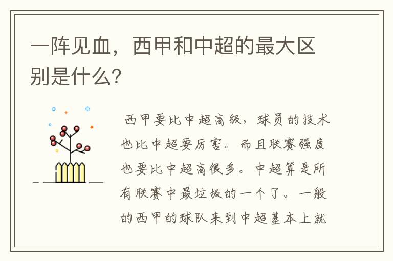 一阵见血,西甲和中超的最大区别是什么?