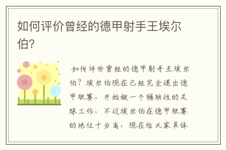 如何评价曾经的德甲射手王埃尔伯?