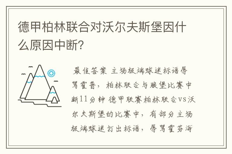 德甲柏林联合对沃尔夫斯堡因什么原因中断?