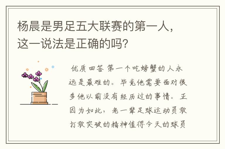 杨晨是男足五大联赛的第一人,这一说法是正确的吗?