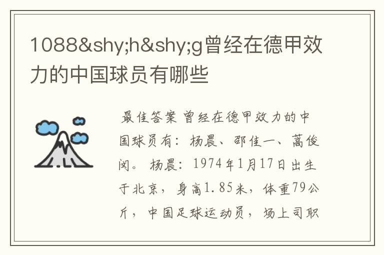 1088hg曾经在德甲效力的中国球员有哪些