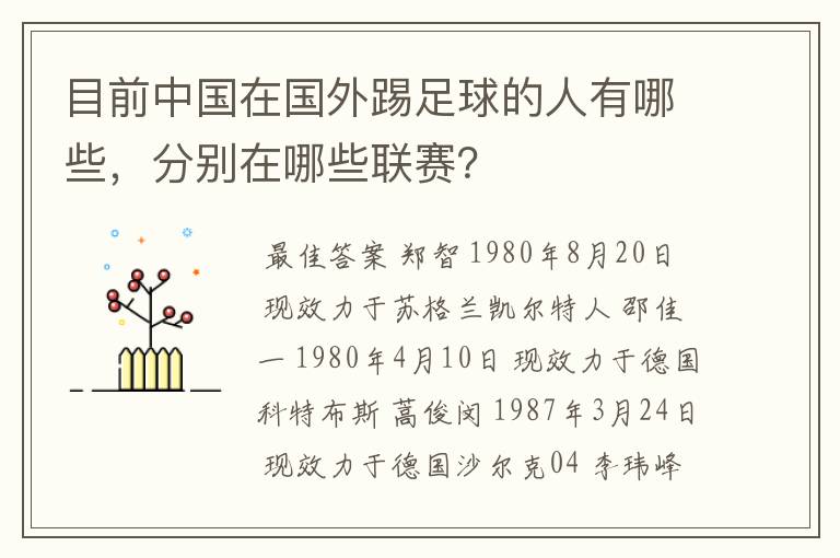 目前中国在国外踢足球的人有哪些,分别在哪些联赛?
