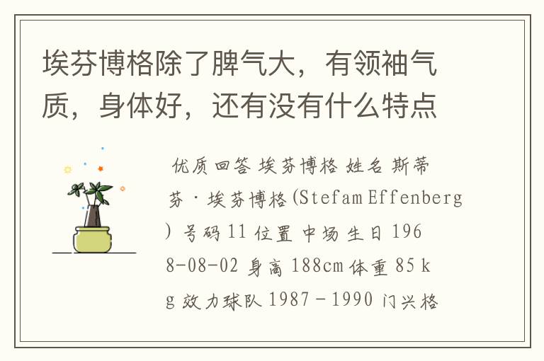 埃芬博格除了脾气大,有领袖气质,身体好,还有没有什么特点?