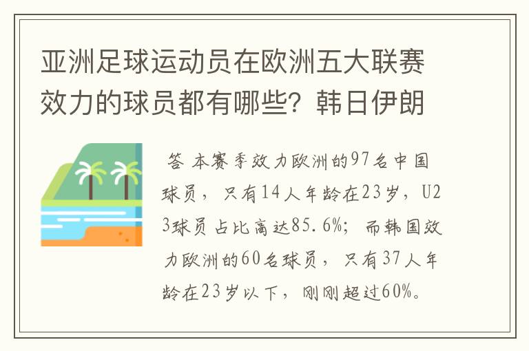 亚洲足球运动员在欧洲五大联赛效力的球员都有哪些?韩日伊朗 都是比较多吧!