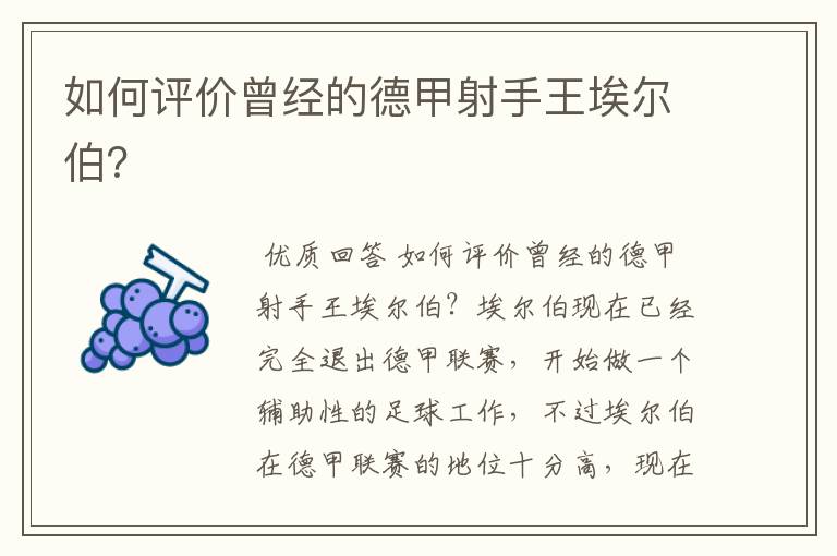如何评价曾经的德甲射手王埃尔伯?