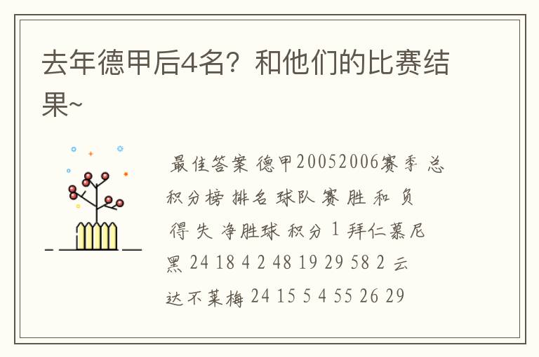 去年德甲后4名?和他们的比赛结果~