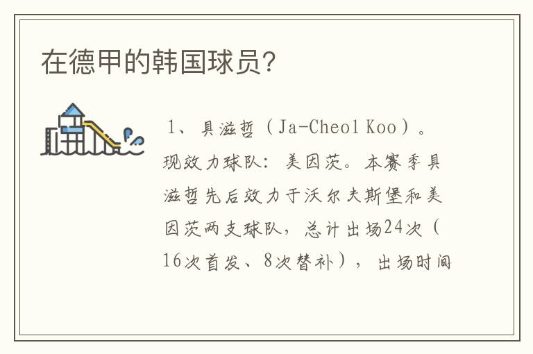 在德甲的韩国球员?
