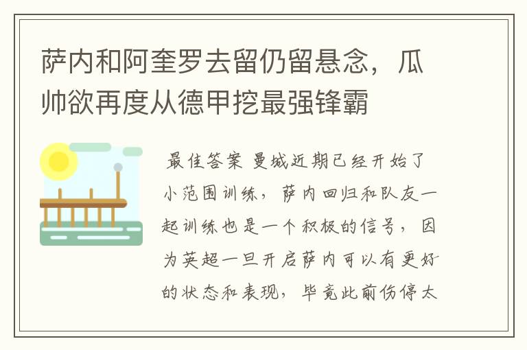 萨内和阿奎罗去留仍留悬念,瓜帅欲再度从德甲挖最强锋霸
