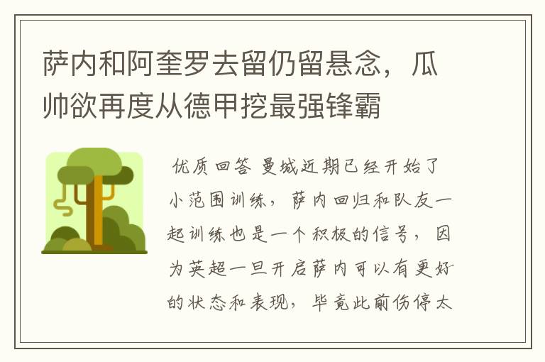 萨内和阿奎罗去留仍留悬念,瓜帅欲再度从德甲挖最强锋霸