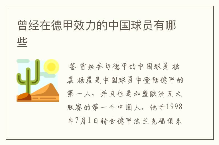 曾经在德甲效力的中国球员有哪些