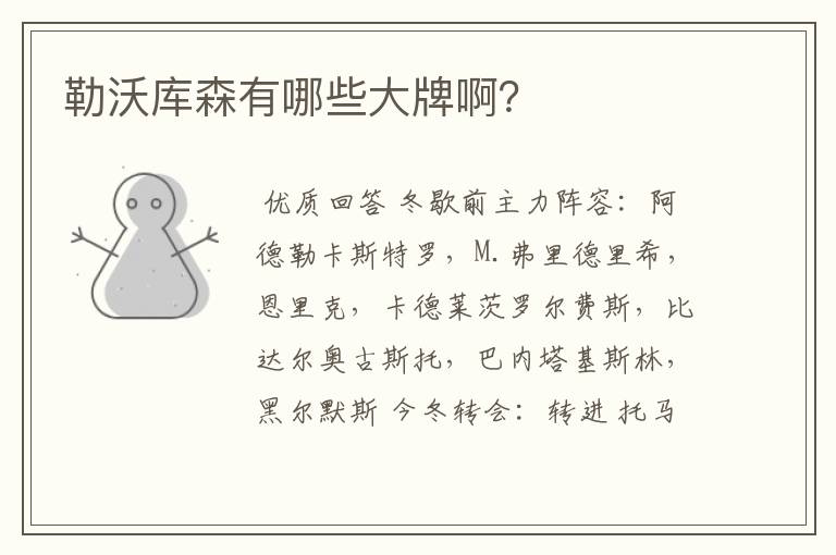 勒沃库森有哪些大牌啊?