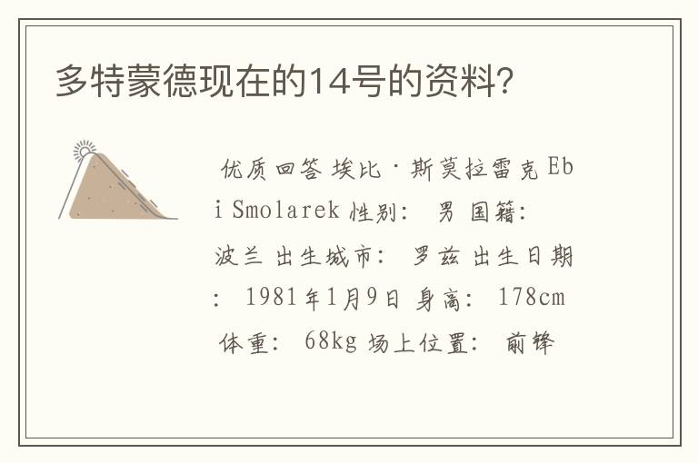 多特蒙德现在的14号的资料?