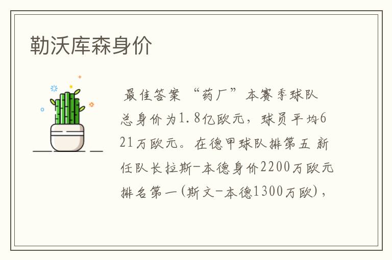 勒沃库森身价