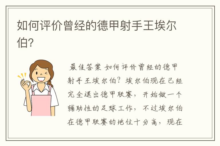如何评价曾经的德甲射手王埃尔伯？