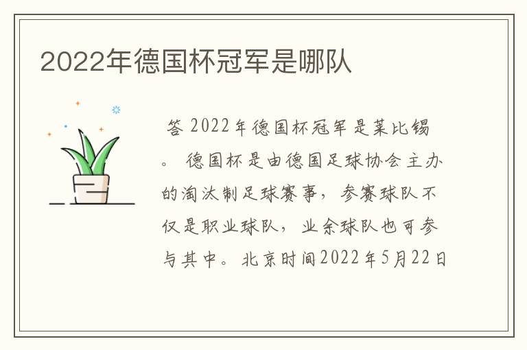 2022年德国杯冠军是哪队
