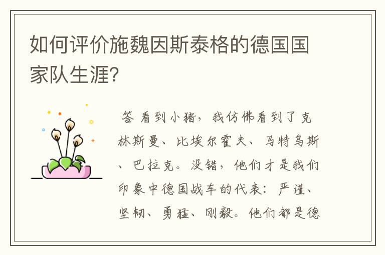 如何评价施魏因斯泰格的德国国家队生涯?