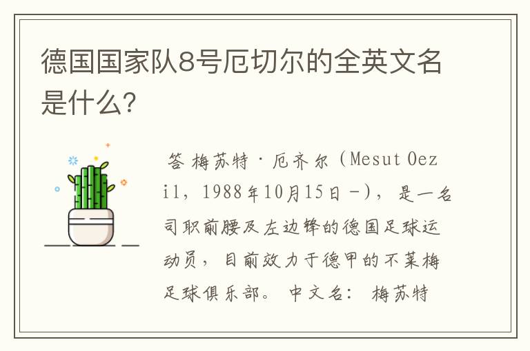 德国国家队8号厄切尔的全英文名是什么?