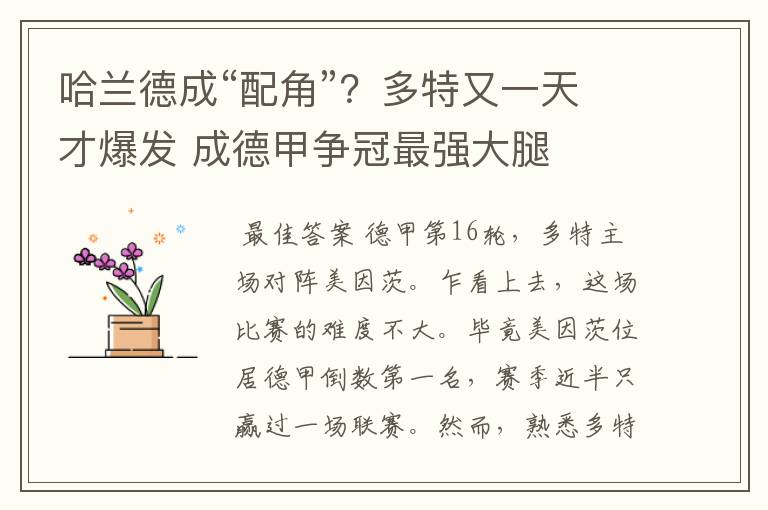 哈兰德成“配角”?多特又一天才爆发 成德甲争冠最强大腿