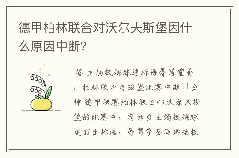 德甲柏林联合对沃尔夫斯堡因什么原因中断?