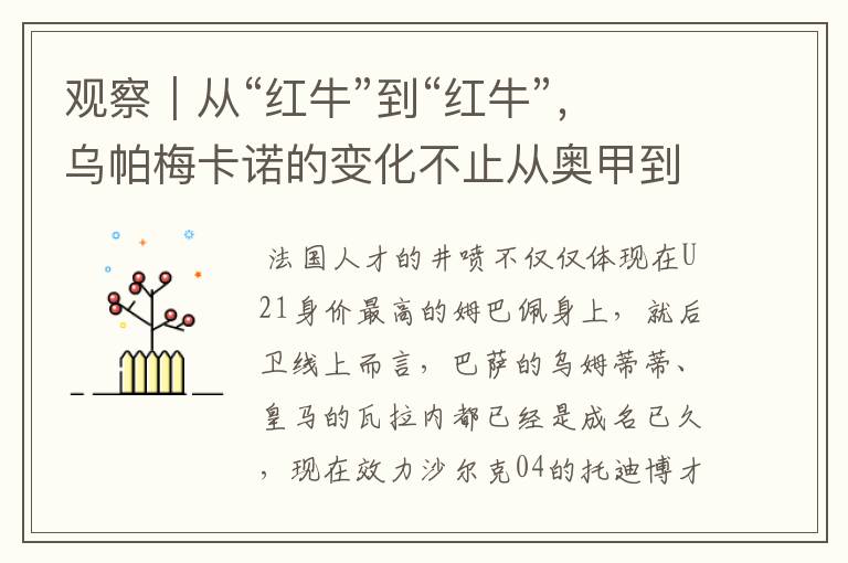 观察|从“红牛”到“红牛”,乌帕梅卡诺的变化不止从奥甲到德甲