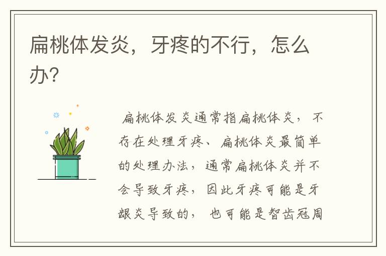扁桃体发炎,牙疼的不行,怎么办?