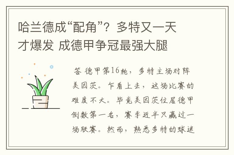 哈兰德成“配角”?多特又一天才爆发 成德甲争冠最强大腿