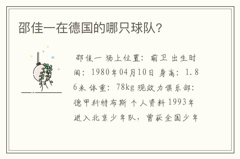 邵佳一在德国的哪只球队?