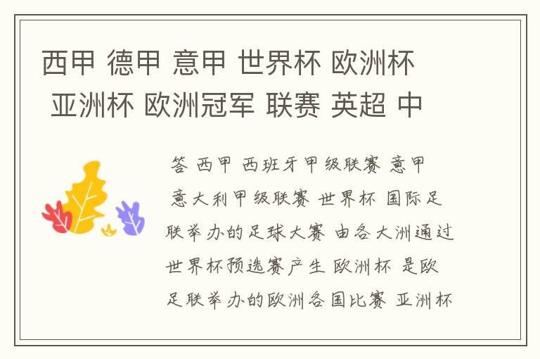 西甲 德甲 意甲 世界杯 欧洲杯 亚洲杯 欧洲冠军 联赛 英超 中超 分别是什么意思啊?