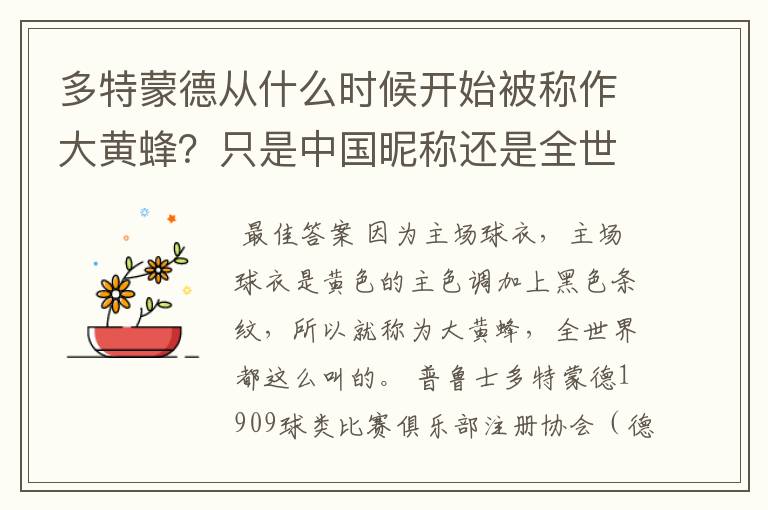 多特蒙德从什么时候开始被称作大黄蜂?只是中国昵称还是全世界范围都这么称呼