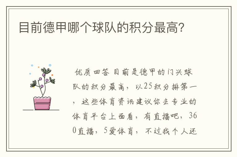 目前德甲哪个球队的积分最高?