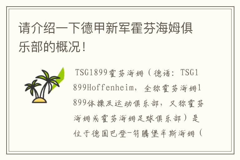 请介绍一下德甲新军霍芬海姆俱乐部的概况!