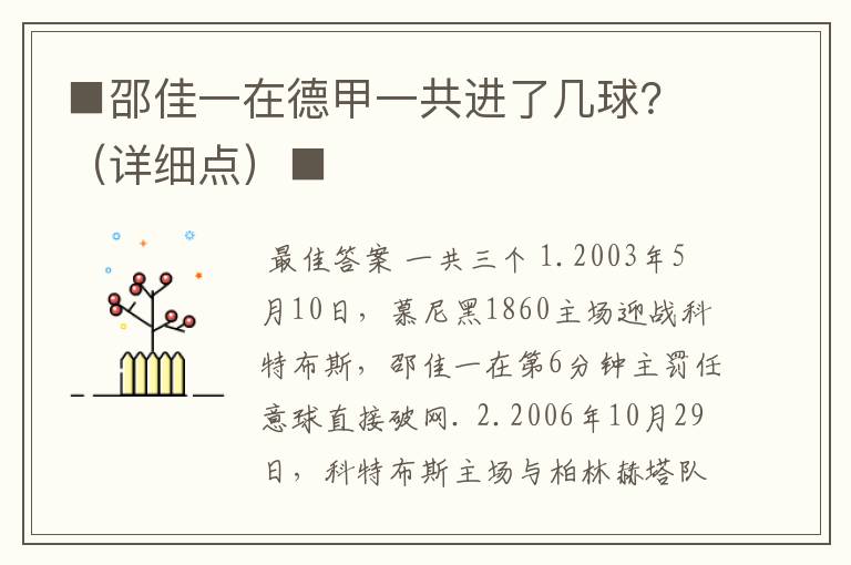 ■邵佳一在德甲一共进了几球?(详细点)■