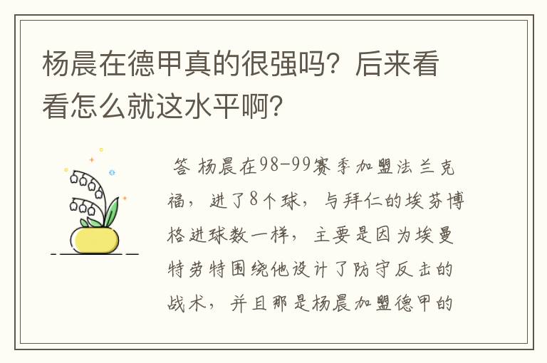 杨晨在德甲真的很强吗?后来看看怎么就这水平啊?