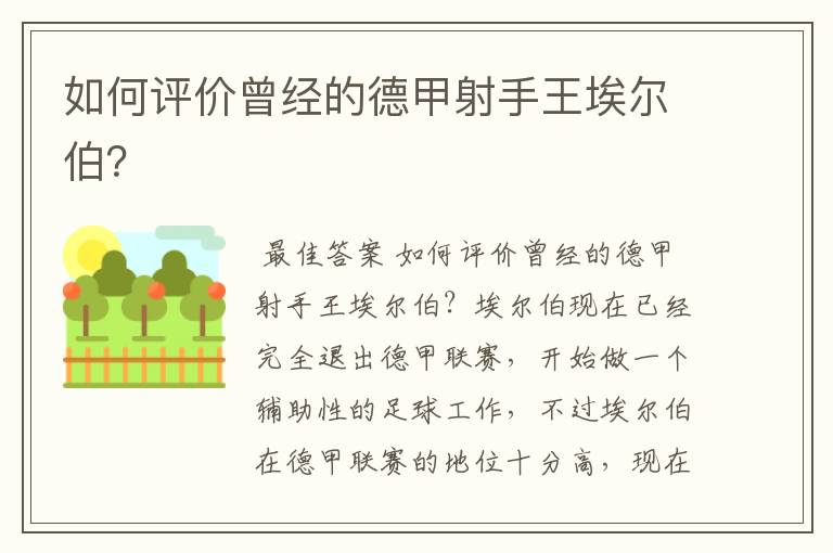 如何评价曾经的德甲射手王埃尔伯?