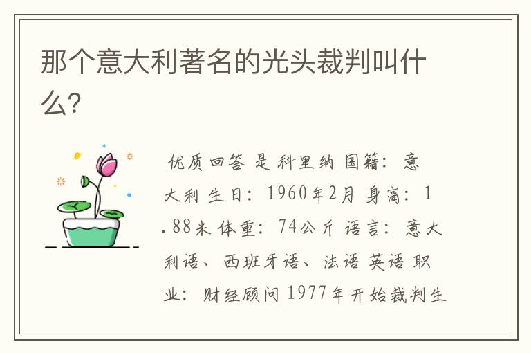 那个意大利著名的光头裁判叫什么?