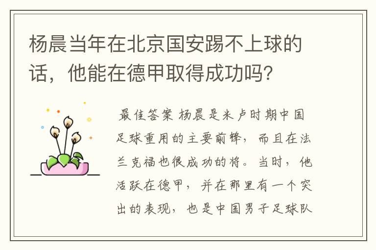 杨晨当年在北京国安踢不上球的话,他能在德甲取得成功吗?