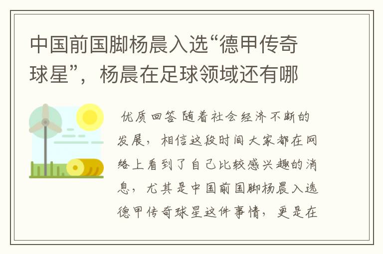 中国前国脚杨晨入选“德甲传奇球星”,杨晨在足球领域还有哪些成就?