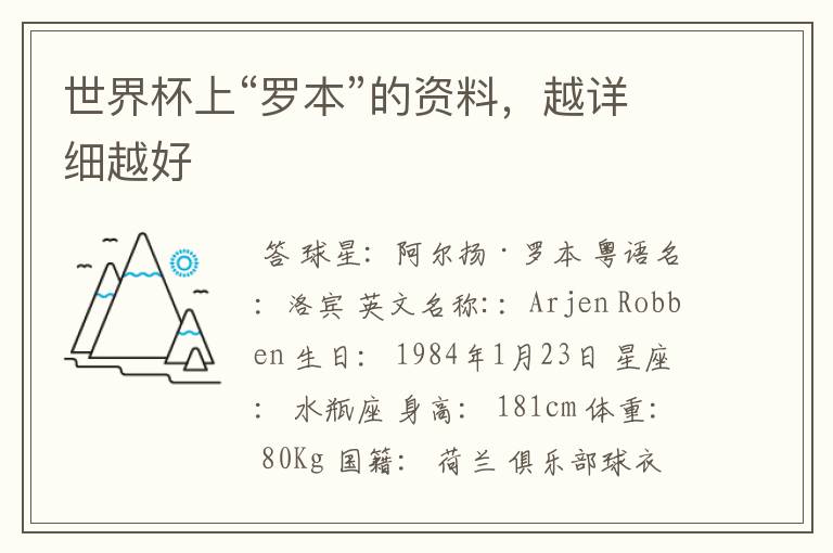 世界杯上“罗本”的资料,越详细越好