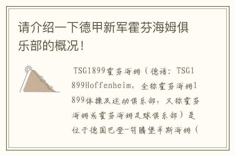 请介绍一下德甲新军霍芬海姆俱乐部的概况!