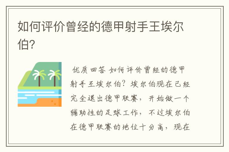 如何评价曾经的德甲射手王埃尔伯?