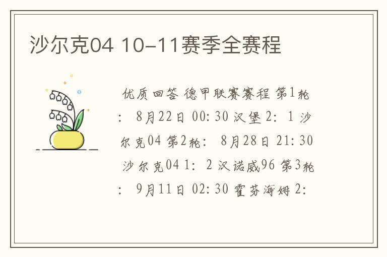 沙尔克04 10-11赛季全赛程