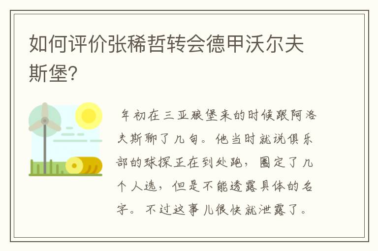 如何评价张稀哲转会德甲沃尔夫斯堡?