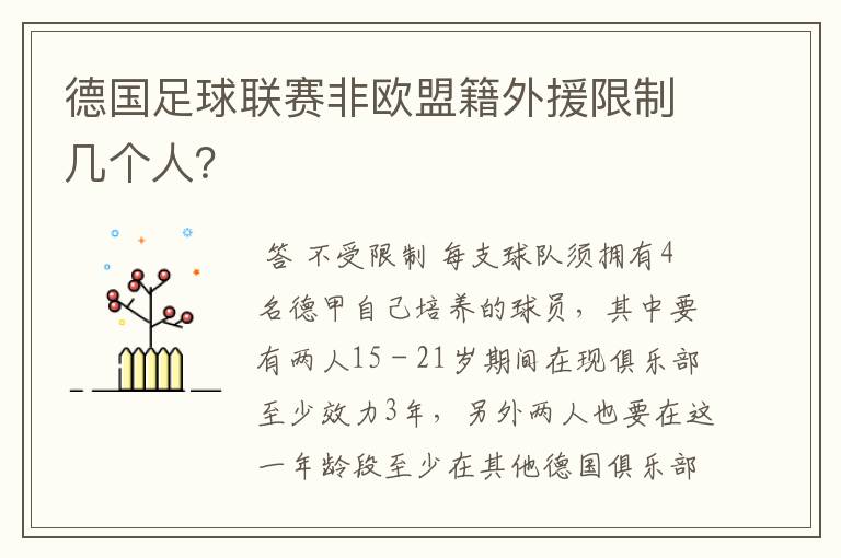 德国足球联赛非欧盟籍外援限制几个人？
