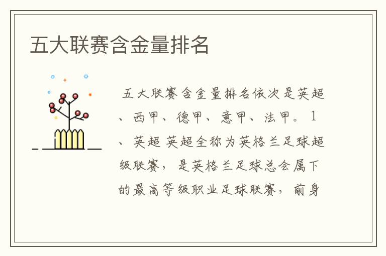 五大联赛含金量排名