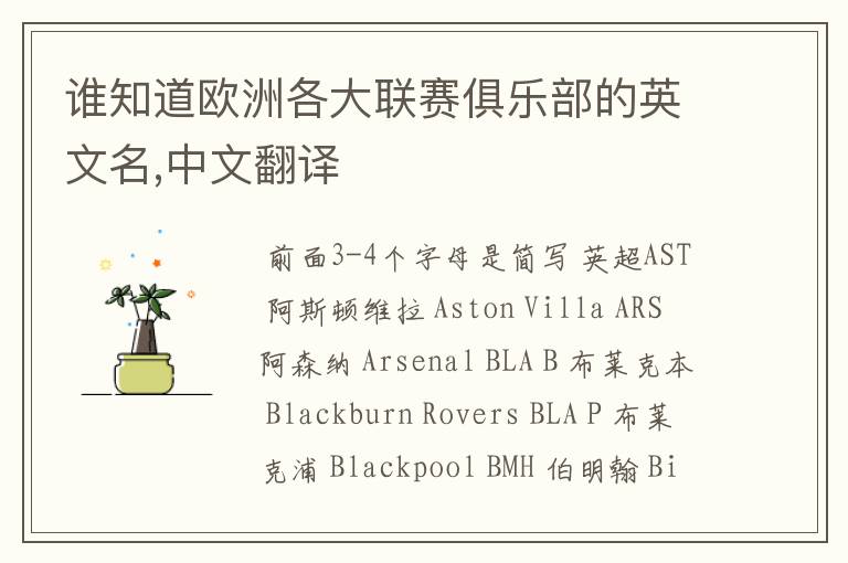 谁知道欧洲各大联赛俱乐部的英文名,中文翻译